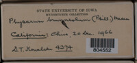 Image Associated With the Occurence